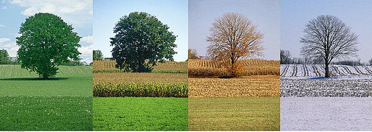 高能电玩节：古巴首款全新独立游戏《破灭》亮相